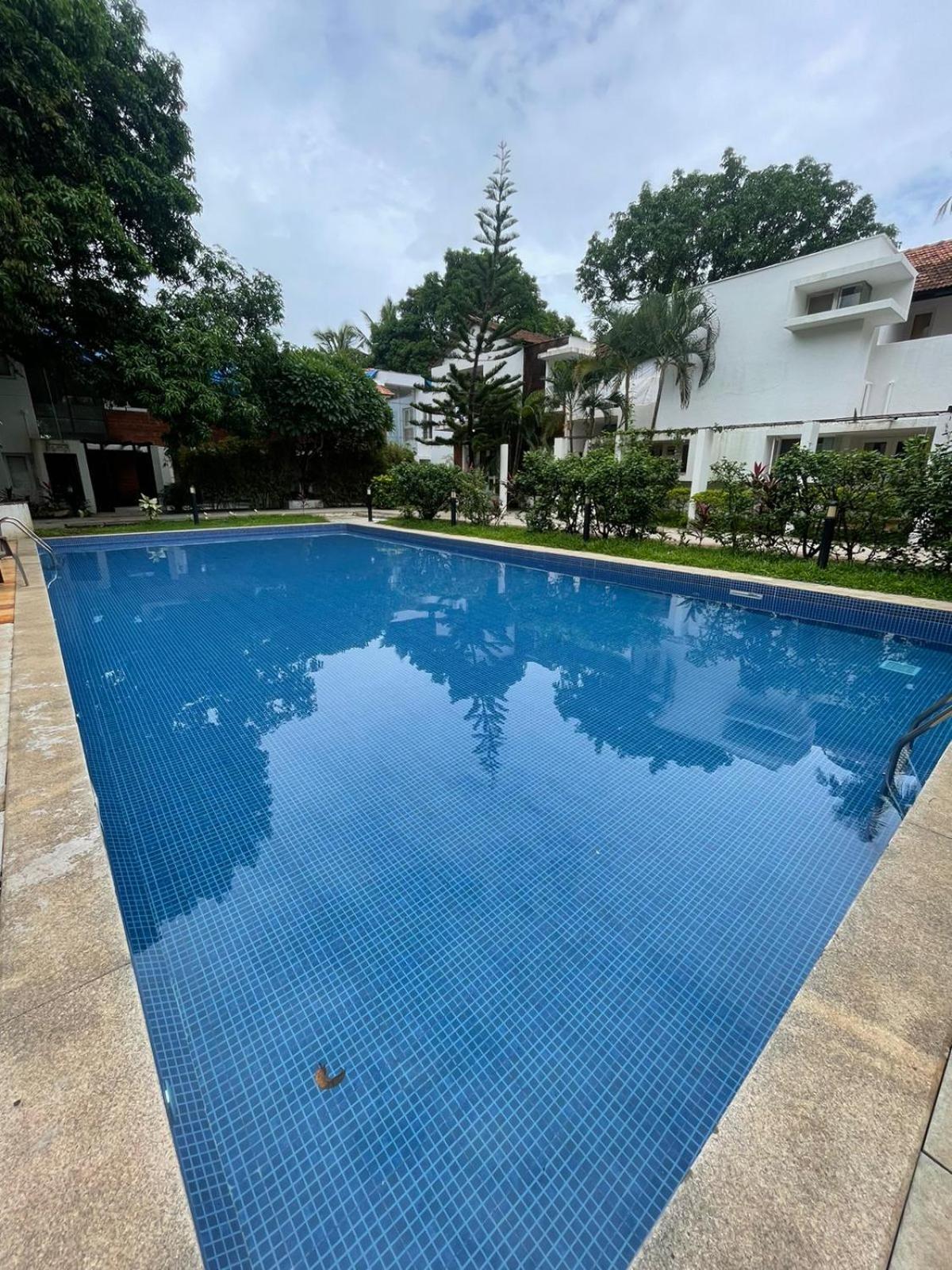 Villa M - Solitude 2 Candolim Goa 3Bhk, Pool Facing, Near Beach, Free Breakfast, Free Wifi And Prime Location Bagian luar foto